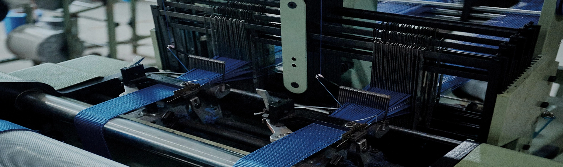 Informazioni su di noi